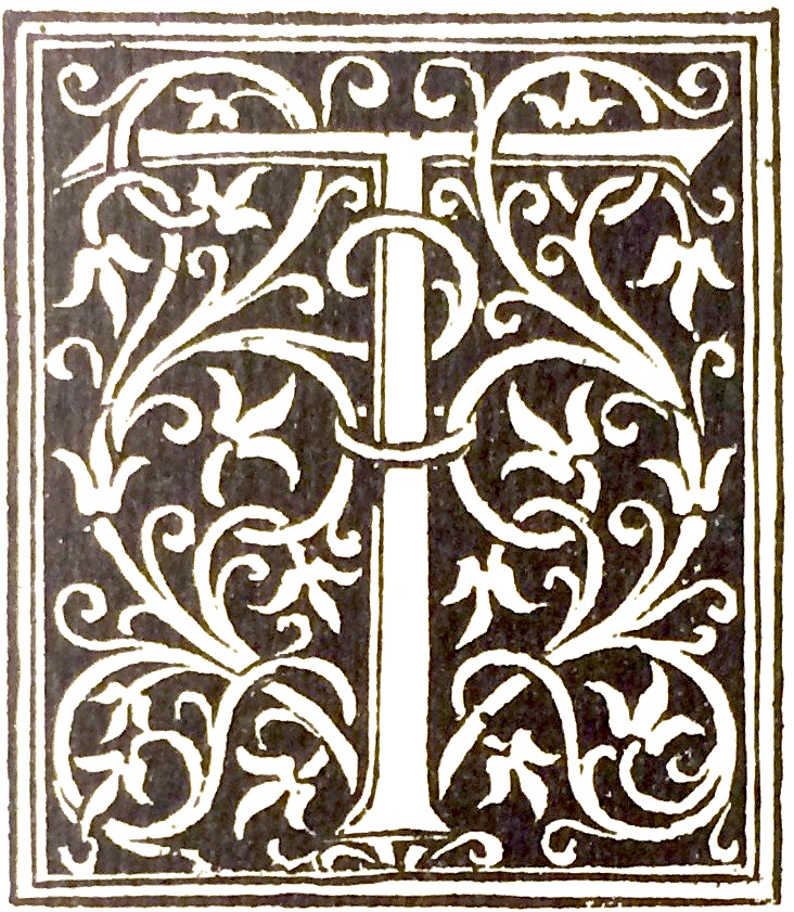 T 9d1300e1393e781d3136bda0b99b0fd5234114270fc6f6fdd194c0995cf0ffa9